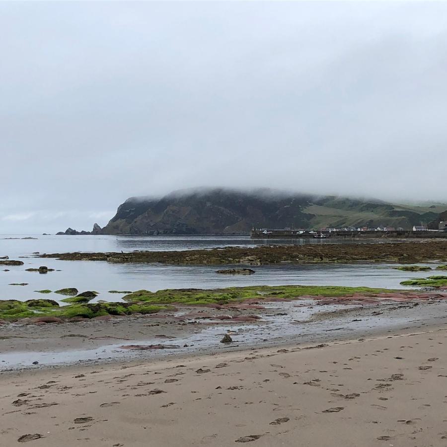 GardenstownPuffins Nest别墅 外观 照片